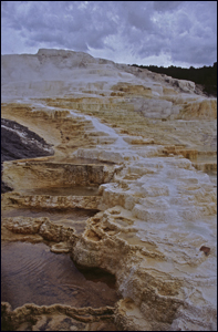 Mammoth Hot Springs